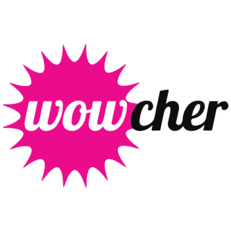 Wocher logo